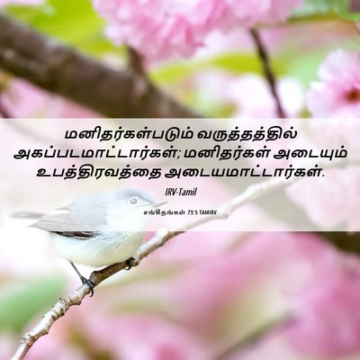 Picture 06 - சங்கீதங்கள் 73:5 TAMIRV - மனிதர்கள்படும் - Bible Verse Picture