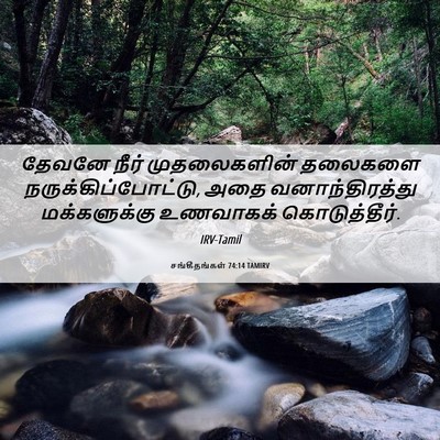 Picture 06 - சங்கீதங்கள் 74:14 TAMIRV - தேவனே நீர் - Bible Verse Picture