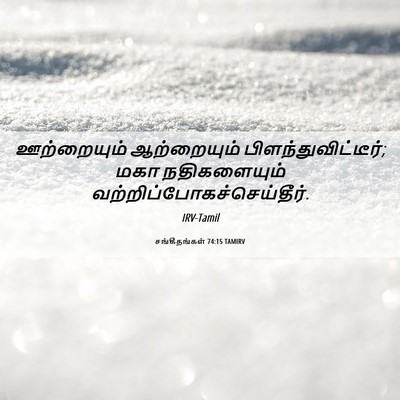 Picture 06 - சங்கீதங்கள் 74:15 TAMIRV - ஊற்றையும் - Bible Verse Picture