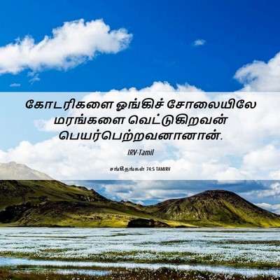 Picture 06 - சங்கீதங்கள் 74:5 TAMIRV - கோடரிகளை ஓங்கிச் - Bible Verse Picture