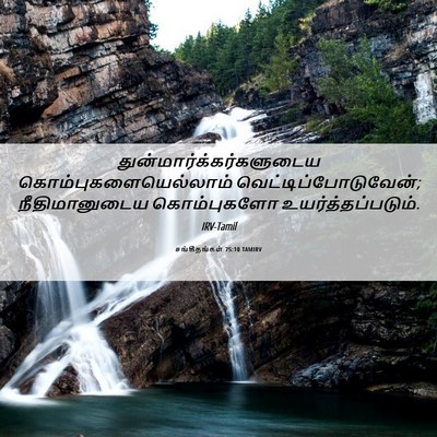 Picture 06 - சங்கீதங்கள் 75:10 TAMIRV -  - Bible Verse Picture