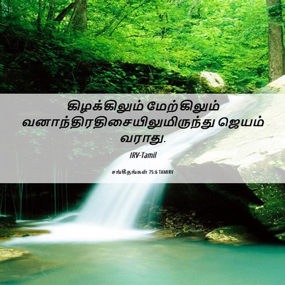 Picture 06 - சங்கீதங்கள் 75:6 TAMIRV - கிழக்கிலும் - Bible Verse Picture