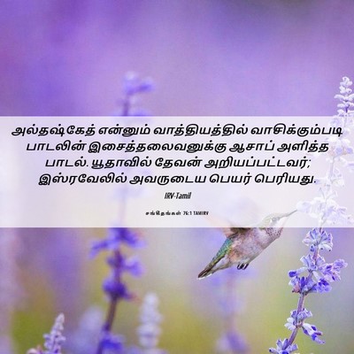 Picture 06 - சங்கீதங்கள் 76:1 TAMIRV - அல்தஷ்கேத் - Bible Verse Picture