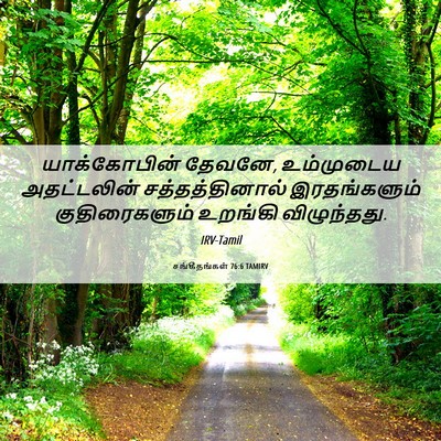 Picture 06 - சங்கீதங்கள் 76:6 TAMIRV - யாக்கோபின் தேவனே, - Bible Verse Picture