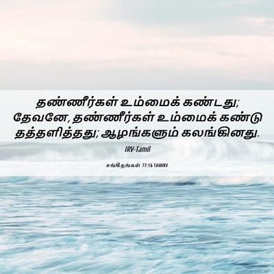 Picture 06 - சங்கீதங்கள் 77:16 TAMIRV - தண்ணீர்கள் - Bible Verse Picture