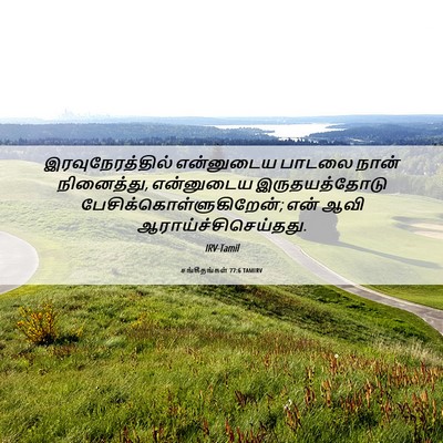 Picture 06 - சங்கீதங்கள் 77:6 TAMIRV - இரவுநேரத்தில் - Bible Verse Picture