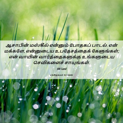 Picture 06 - சங்கீதங்கள் 78:1 TAMIRV - ஆசாபின் மஸ்கீல் - Bible Verse Picture