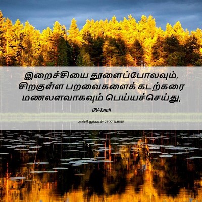 Picture 06 - சங்கீதங்கள் 78:27 TAMIRV - இறைச்சியை - Bible Verse Picture