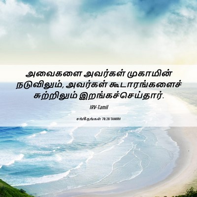 Picture 06 - சங்கீதங்கள் 78:28 TAMIRV - அவைகளை அவர்கள் - Bible Verse Picture