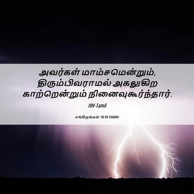 Picture 06 - சங்கீதங்கள் 78:39 TAMIRV - அவர்கள் - Bible Verse Picture