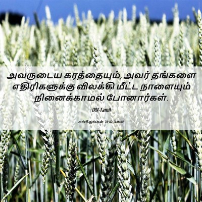 Picture 06 - சங்கீதங்கள் 78:42 TAMIRV - அவருடைய - Bible Verse Picture