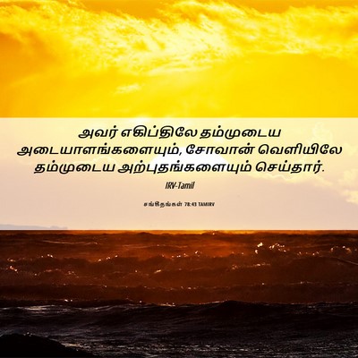 Picture 06 - சங்கீதங்கள் 78:43 TAMIRV - அவர் எகிப்திலே - Bible Verse Picture