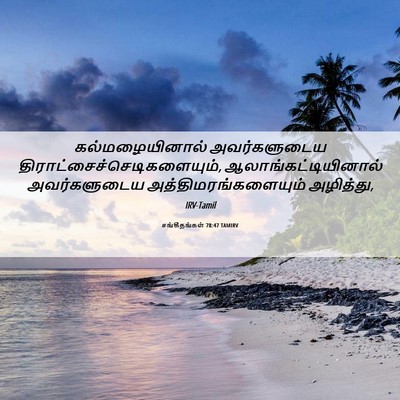 Picture 06 - சங்கீதங்கள் 78:47 TAMIRV - கல்மழையினால் - Bible Verse Picture
