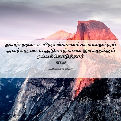Picture 06 - சங்கீதங்கள் 78:48 TAMIRV - அவர்களுடைய - Bible Verse Picture
