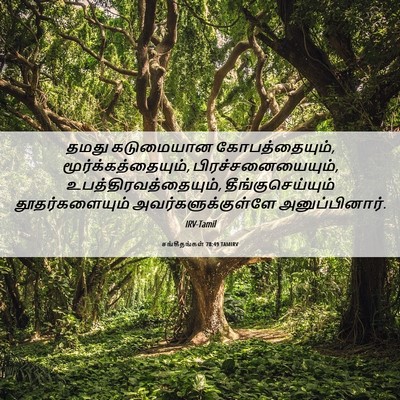 Picture 06 - சங்கீதங்கள் 78:49 TAMIRV - தமது கடுமையான - Bible Verse Picture