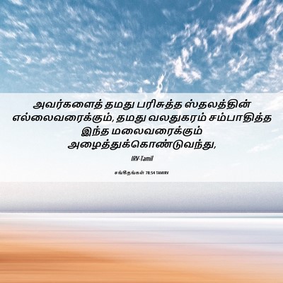 Picture 06 - சங்கீதங்கள் 78:54 TAMIRV - அவர்களைத் தமது - Bible Verse Picture
