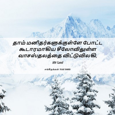 Picture 06 - சங்கீதங்கள் 78:60 TAMIRV - தாம் - Bible Verse Picture