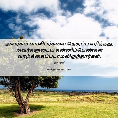 Picture 06 - சங்கீதங்கள் 78:63 TAMIRV - அவர்கள் - Bible Verse Picture