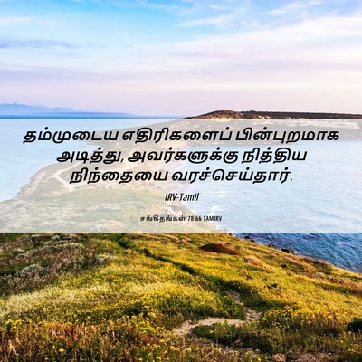 Picture 06 - சங்கீதங்கள் 78:66 TAMIRV - தம்முடைய - Bible Verse Picture