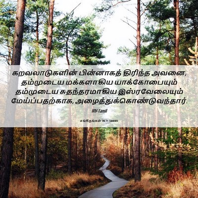 Picture 06 - சங்கீதங்கள் 78:71 TAMIRV - கறவலாடுகளின் - Bible Verse Picture