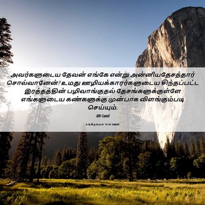 Picture 06 - சங்கீதங்கள் 79:10 TAMIRV - அவர்களுடைய தேவன் - Bible Verse Picture