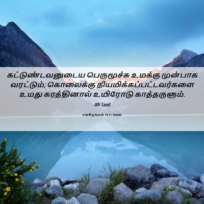 Picture 06 - சங்கீதங்கள் 79:11 TAMIRV - கட்டுண்டவனுடைய - Bible Verse Picture