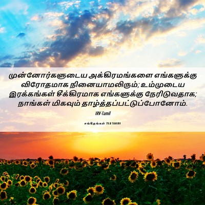 Picture 06 - சங்கீதங்கள் 79:8 TAMIRV - முன்னோர்களுடைய - Bible Verse Picture