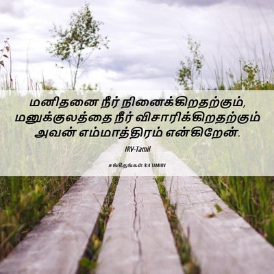 Picture 06 - சங்கீதங்கள் 8:4 TAMIRV - மனிதனை நீர் - Bible Verse Picture