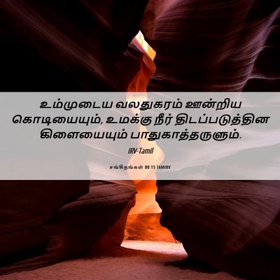 Picture 06 - சங்கீதங்கள் 80:15 TAMIRV - உம்முடைய வலதுகரம் - Bible Verse Picture