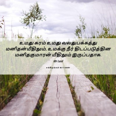 Picture 06 - சங்கீதங்கள் 80:17 TAMIRV - உமது கரம் உமது - Bible Verse Picture