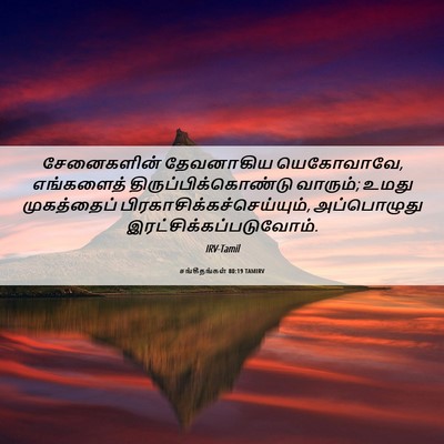 Picture 06 - சங்கீதங்கள் 80:19 TAMIRV - சேனைகளின் - Bible Verse Picture