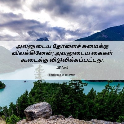 Picture 06 - சங்கீதங்கள் 81:6 TAMIRV - அவனுடைய தோளைச் - Bible Verse Picture