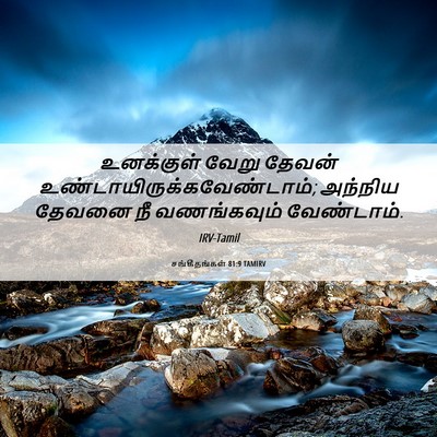 Picture 06 - சங்கீதங்கள் 81:9 TAMIRV - உனக்குள் வேறு - Bible Verse Picture