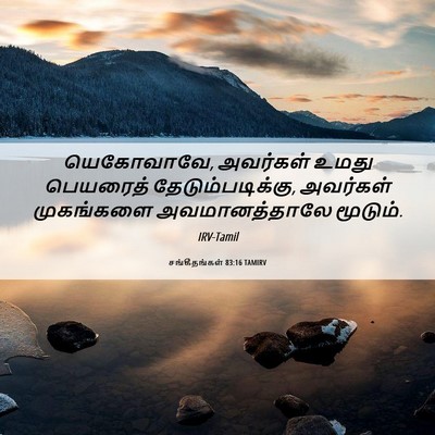 Picture 06 - சங்கீதங்கள் 83:16 TAMIRV - யெகோவாவே, அவர்கள் - Bible Verse Picture