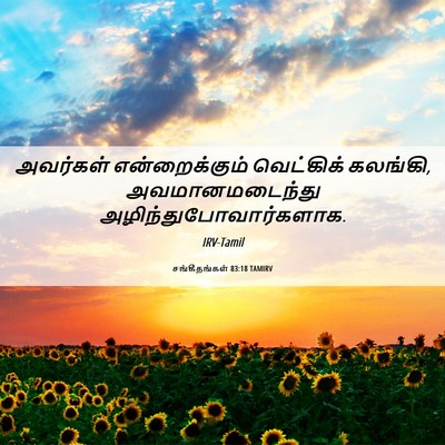 Picture 06 - சங்கீதங்கள் 83:18 TAMIRV - அவர்கள் - Bible Verse Picture