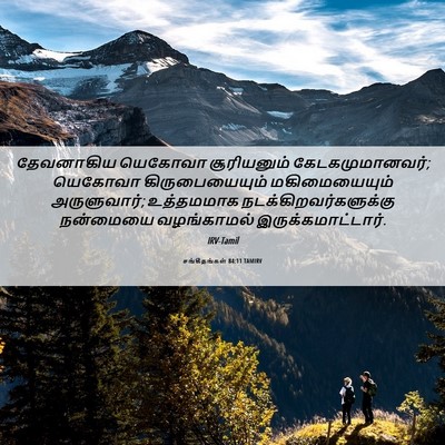 Picture 06 - சங்கீதங்கள் 84:11 TAMIRV - தேவனாகிய யெகோவா - Bible Verse Picture