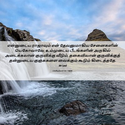 Picture 06 - சங்கீதங்கள் 84:3 TAMIRV - என்னுடைய ராஜாவும் - Bible Verse Picture