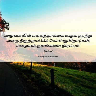 Picture 06 - சங்கீதங்கள் 84:6 TAMIRV - அழுகையின் - Bible Verse Picture