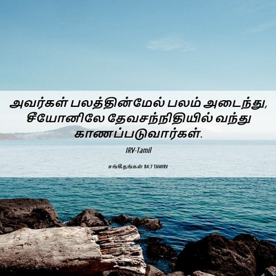 Picture 06 - சங்கீதங்கள் 84:7 TAMIRV - அவர்கள் - Bible Verse Picture