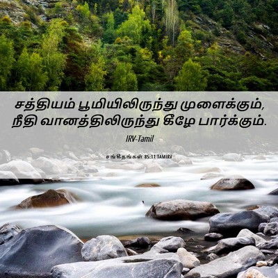 Picture 06 - சங்கீதங்கள் 85:11 TAMIRV - சத்தியம் - Bible Verse Picture