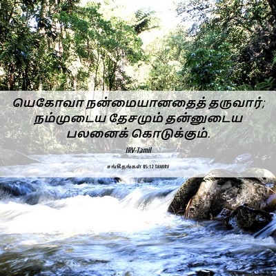 Picture 06 - சங்கீதங்கள் 85:12 TAMIRV - யெகோவா - Bible Verse Picture
