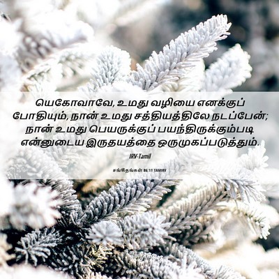 Picture 06 - சங்கீதங்கள் 86:11 TAMIRV - யெகோவாவே, உமது - Bible Verse Picture