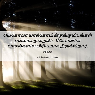 Picture 06 - சங்கீதங்கள் 87:2 TAMIRV - யெகோவா யாக்கோபின் - Bible Verse Picture