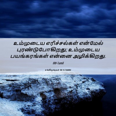 Picture 06 - சங்கீதங்கள் 88:16 TAMIRV - உம்முடைய - Bible Verse Picture