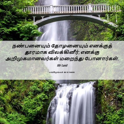 Picture 06 - சங்கீதங்கள் 88:18 TAMIRV - நண்பனையும் - Bible Verse Picture