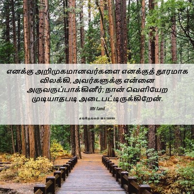 Picture 06 - சங்கீதங்கள் 88:8 TAMIRV - எனக்கு - Bible Verse Picture