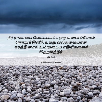 Picture 06 - சங்கீதங்கள் 89:10 TAMIRV - நீர் ராகாபை - Bible Verse Picture