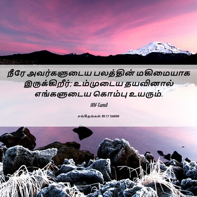 Picture 06 - சங்கீதங்கள் 89:17 TAMIRV - நீரே அவர்களுடைய - Bible Verse Picture