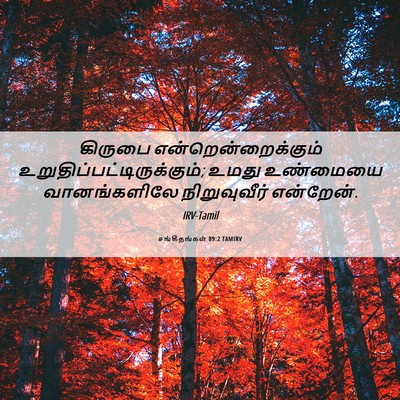 Picture 06 - சங்கீதங்கள் 89:2 TAMIRV - கிருபை - Bible Verse Picture