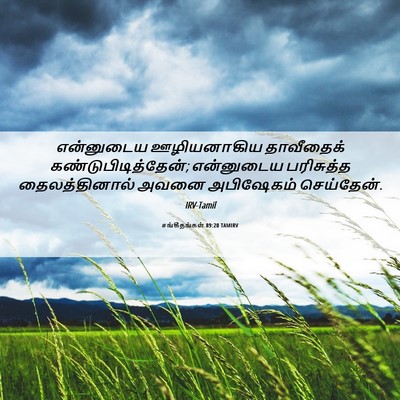 Picture 06 - சங்கீதங்கள் 89:20 TAMIRV - என்னுடைய - Bible Verse Picture